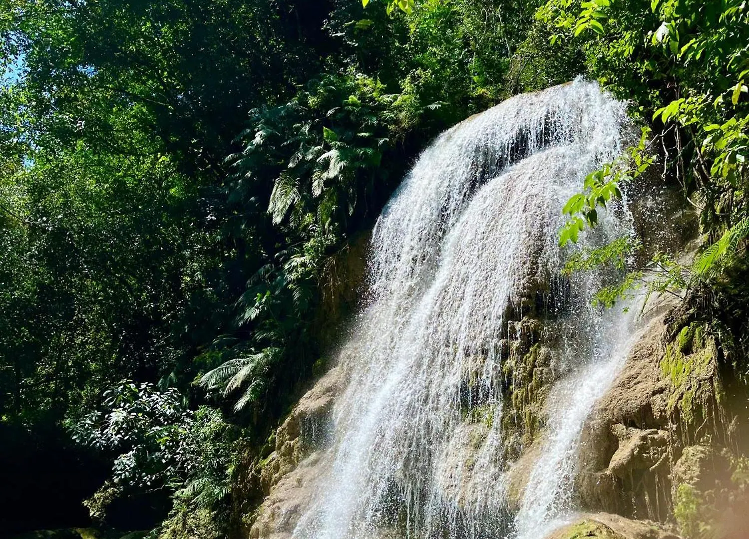 营地 Treehouse Waterfalls El Limon D-03 多米尼加共和国