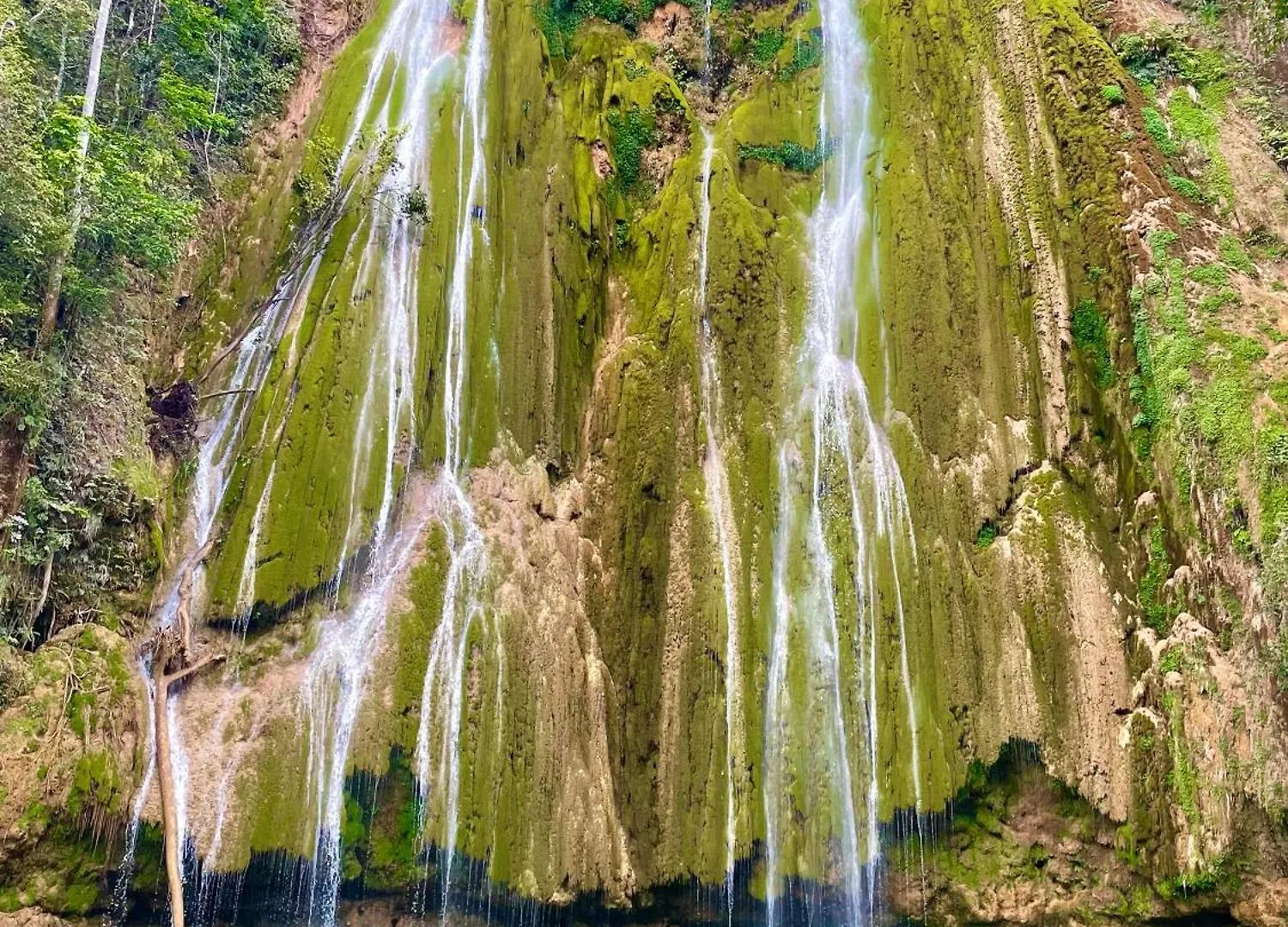 Treehouse Waterfalls El Limon D-03 0*,