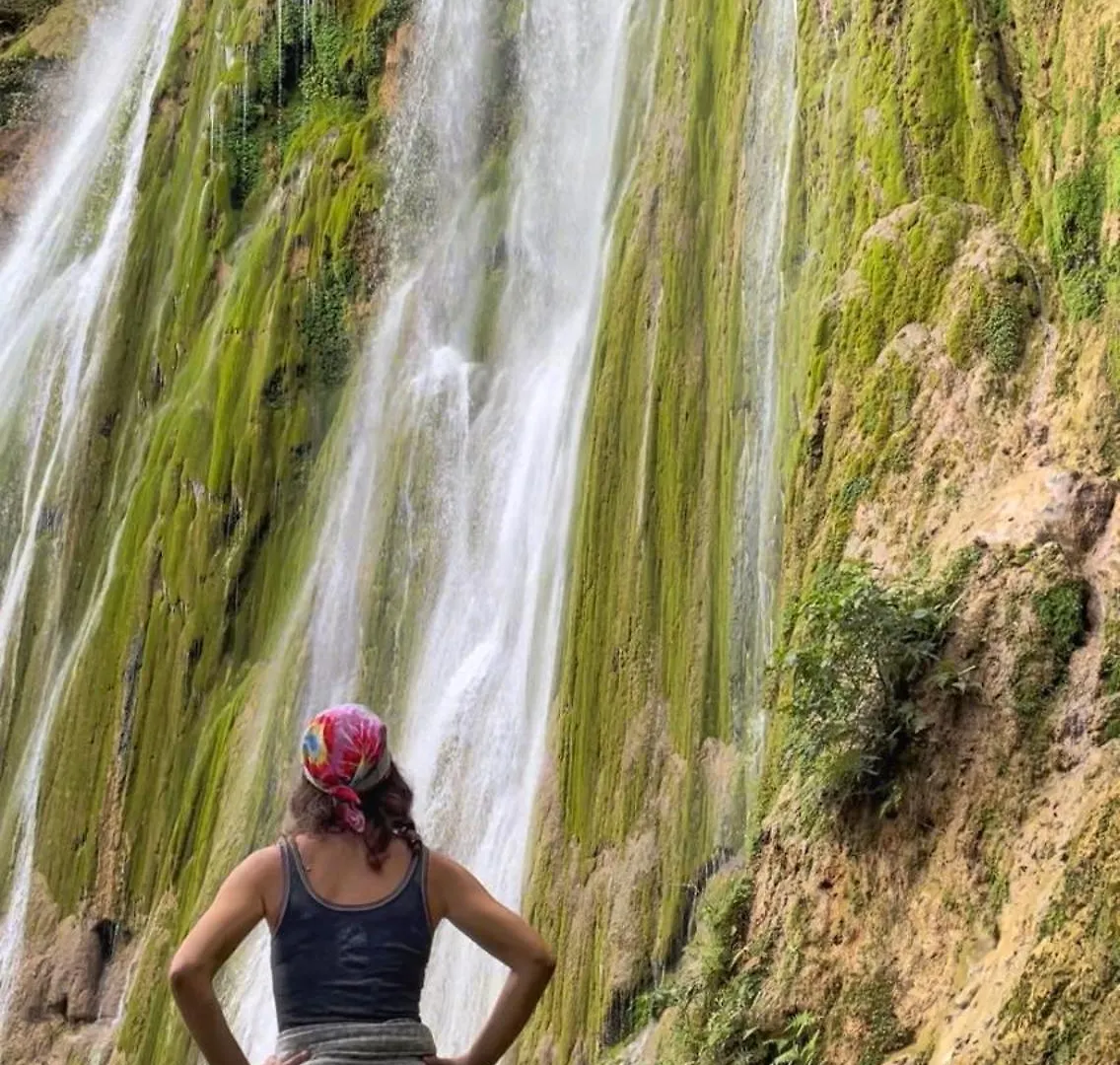Treehouse Waterfalls El Limon D-03 营地