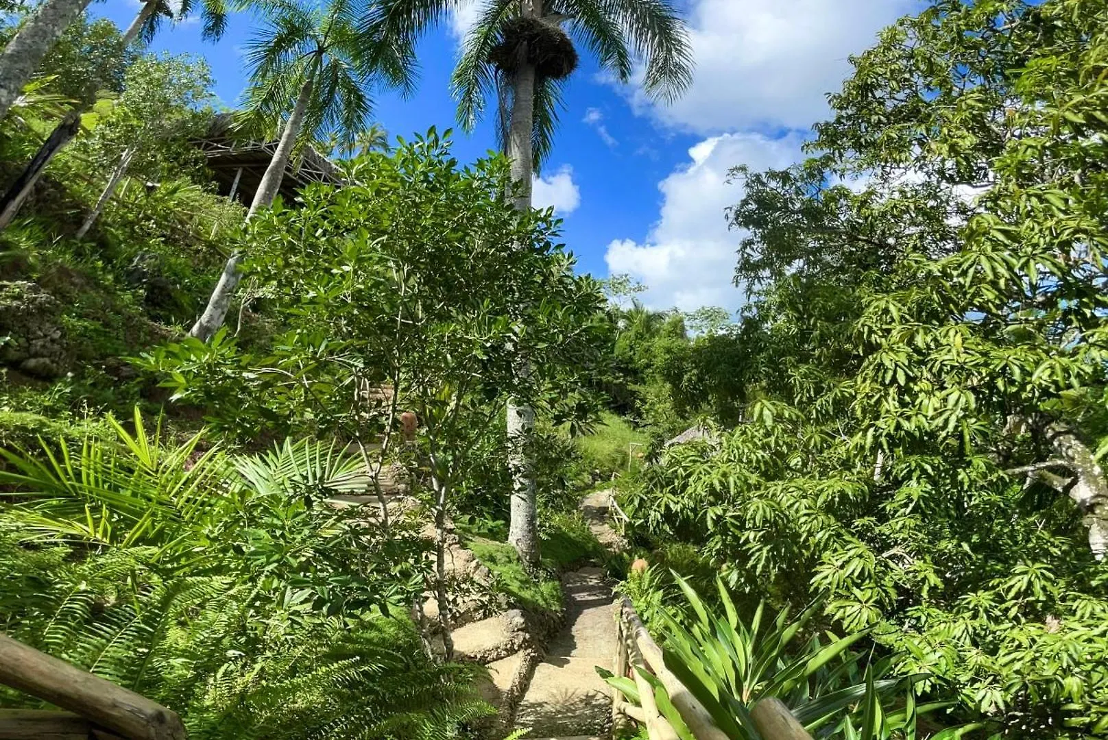 营地 Treehouse Waterfalls El Limon D-03