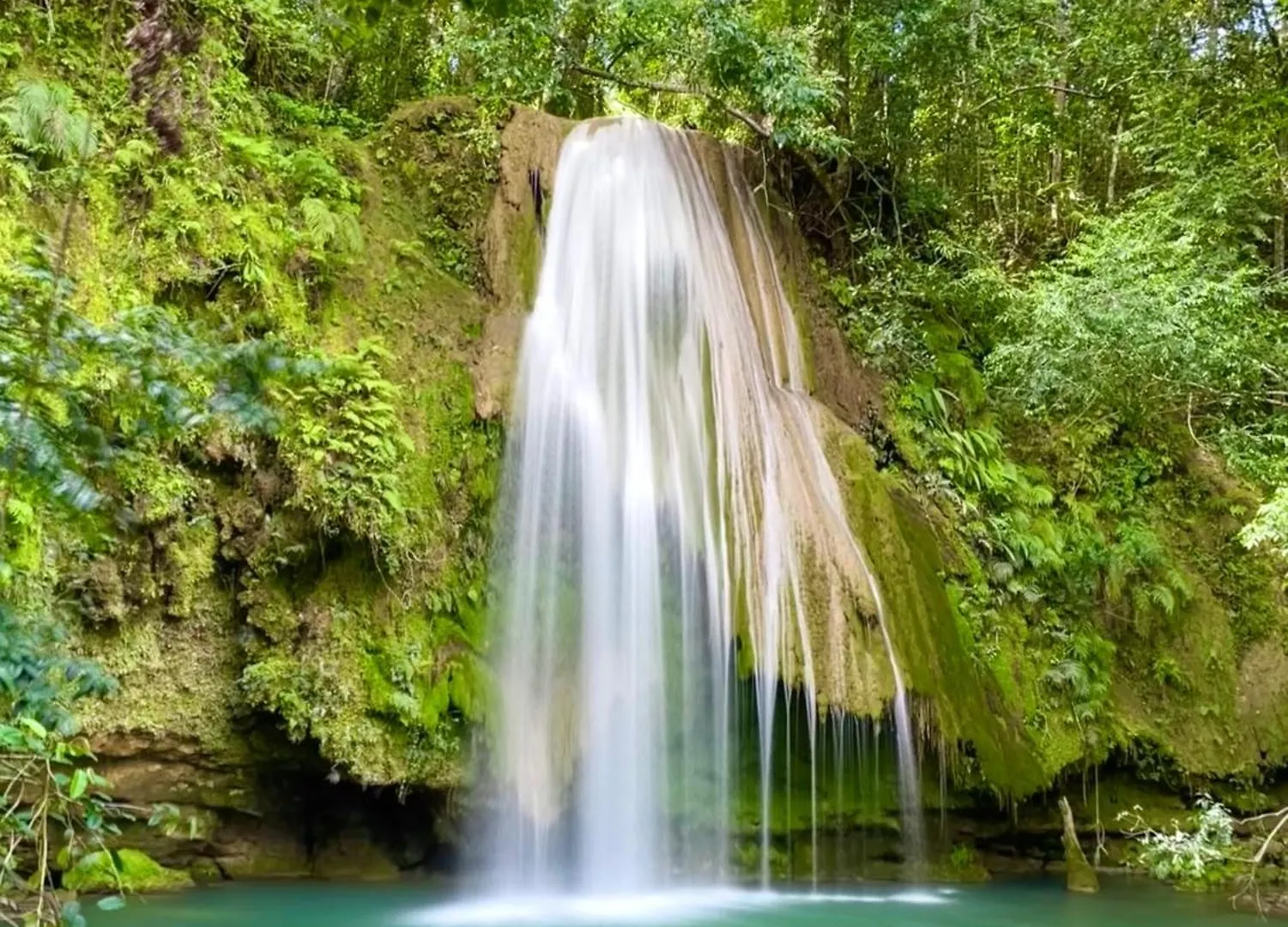 营地 Treehouse Waterfalls El Limon D-03 多米尼加共和国