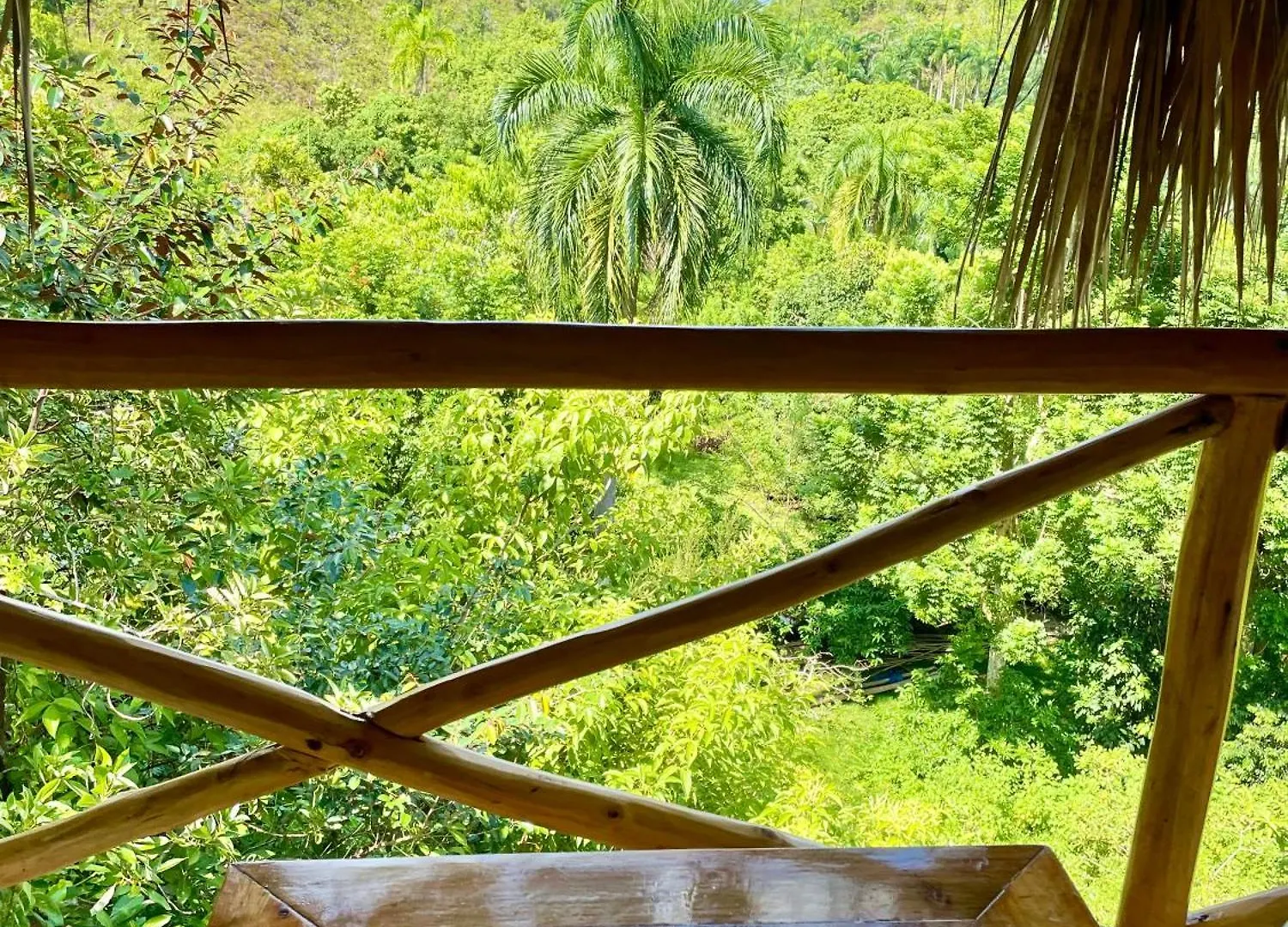 Treehouse Waterfalls El Limon D-03