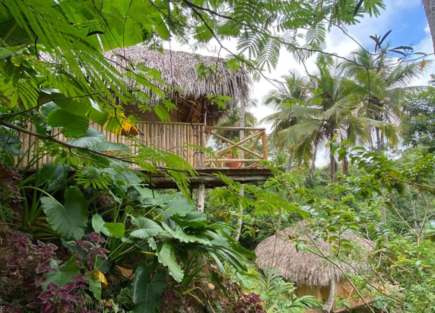 Campsite Treehouse Waterfalls El Limon D-03