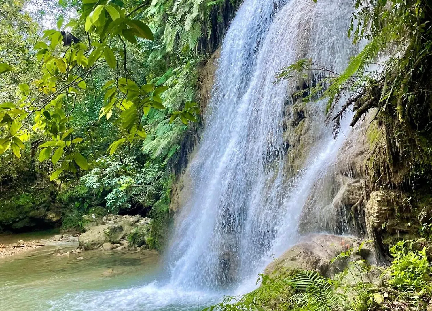 Treehouse Waterfalls El Limon D-03 0*,  Dominican Republic