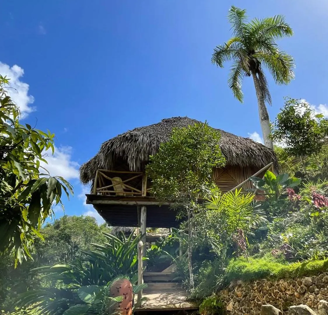 Treehouse Waterfalls El Limon D-03 Campsite
