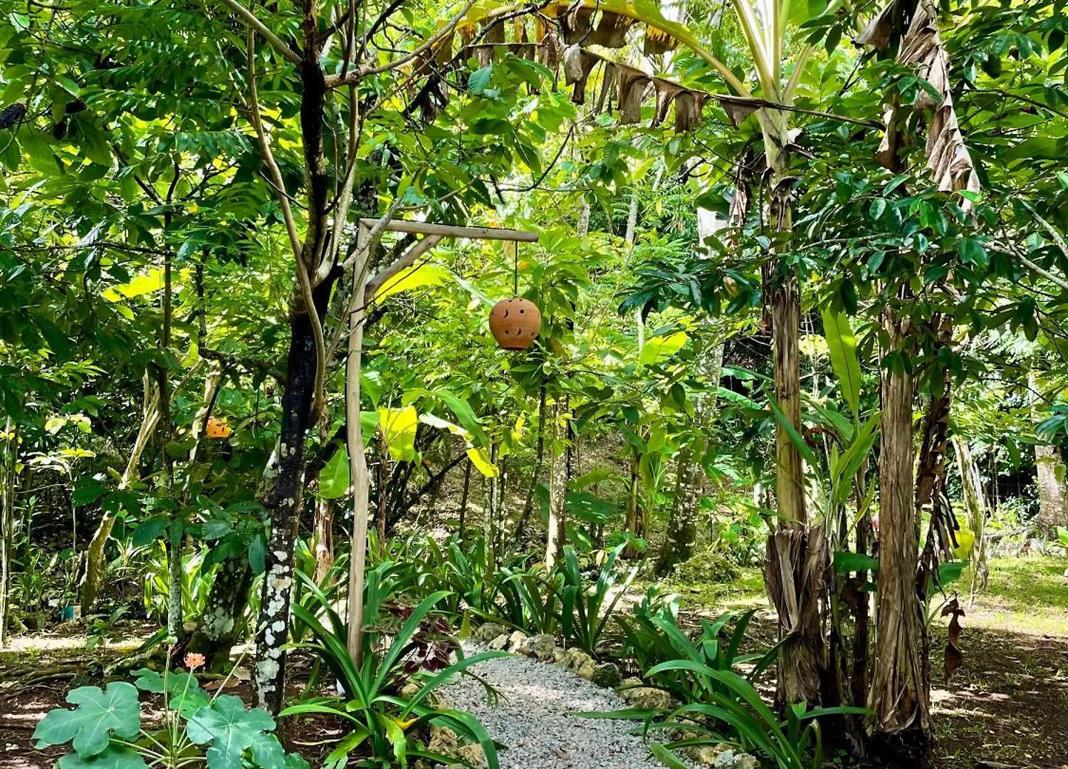 Treehouse Waterfalls El Limon D-03 Campsite