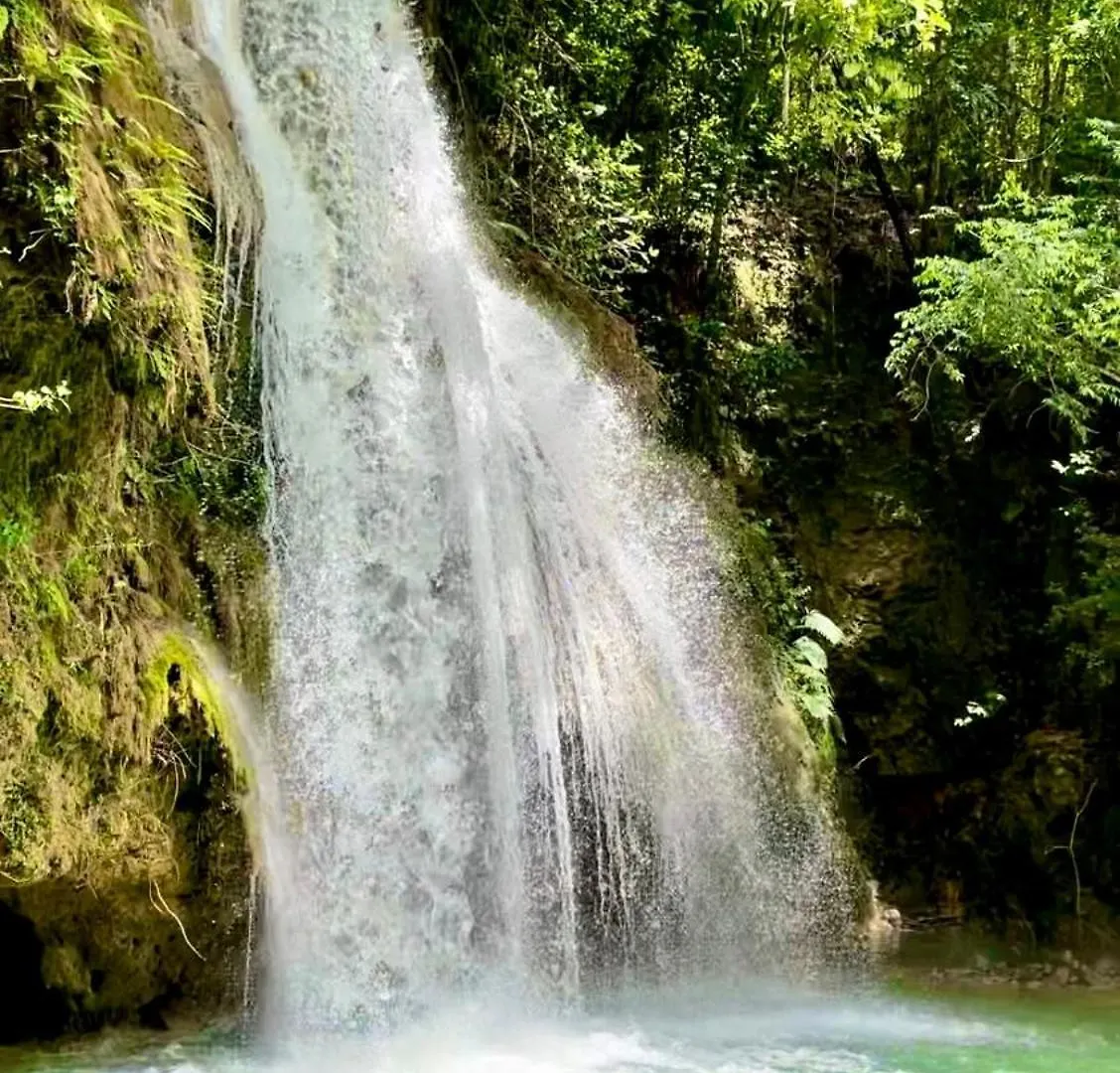 Treehouse Waterfalls El Limon D-03 Dominican Republic
