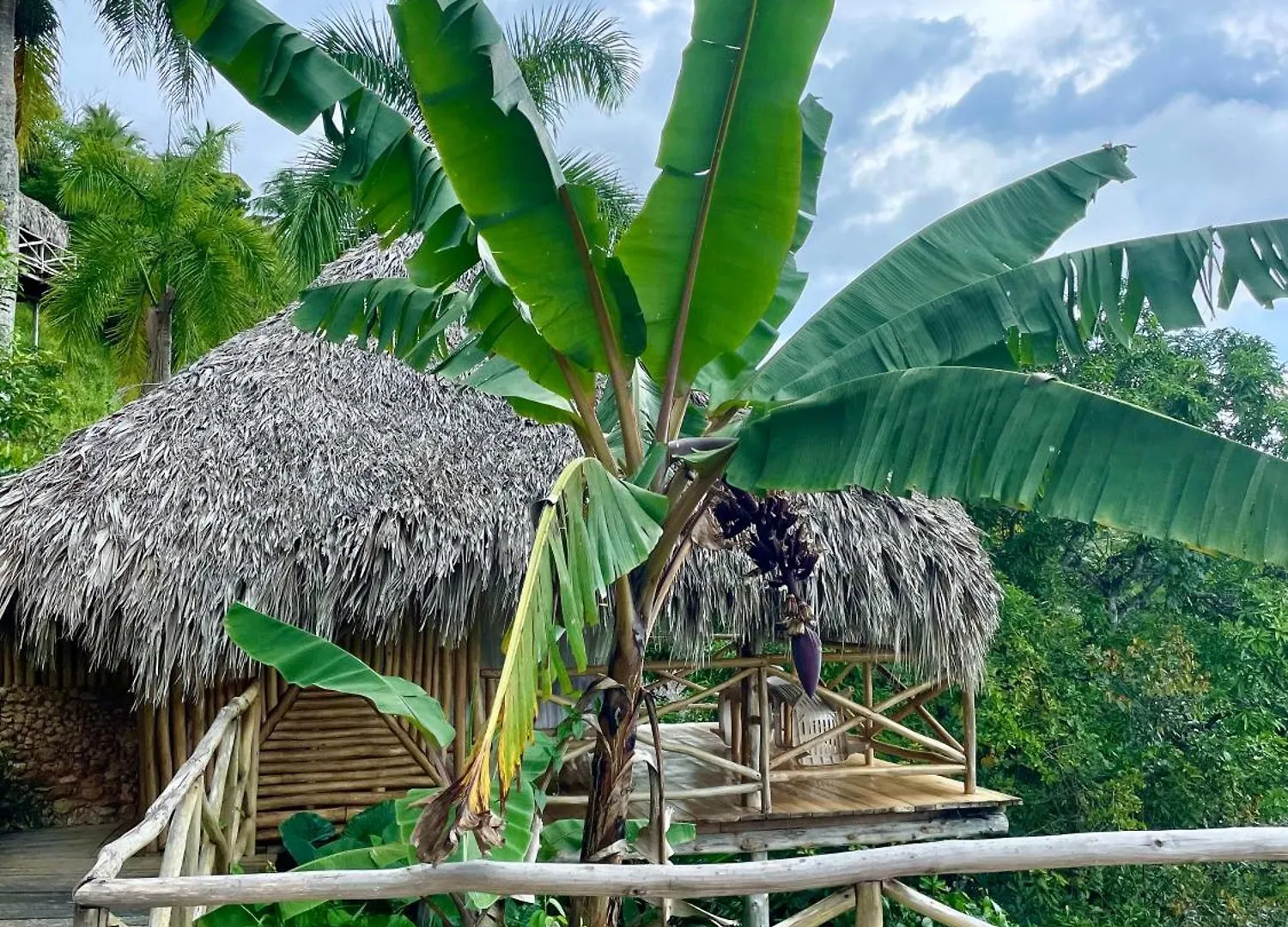 Treehouse Waterfalls El Limon D-03 0*,  Dominican Republic